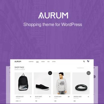 Aurum- -Minimalist-Shopping-Theme
